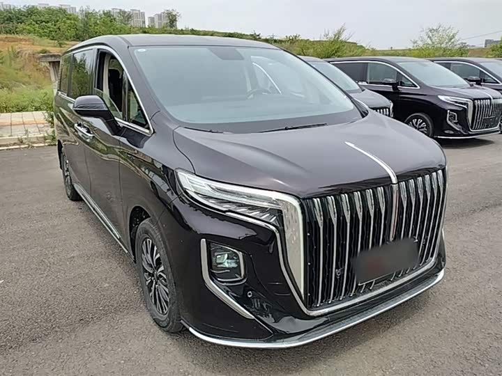 Hongqi HQ9 Hybrid, 2024 — фото 4 из 9