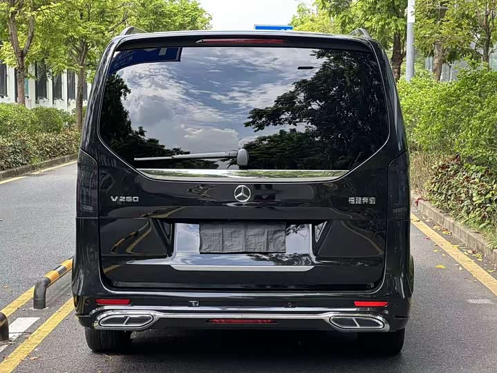 Mercedes-Benz V-Class, 2021 — фото 8 из 9