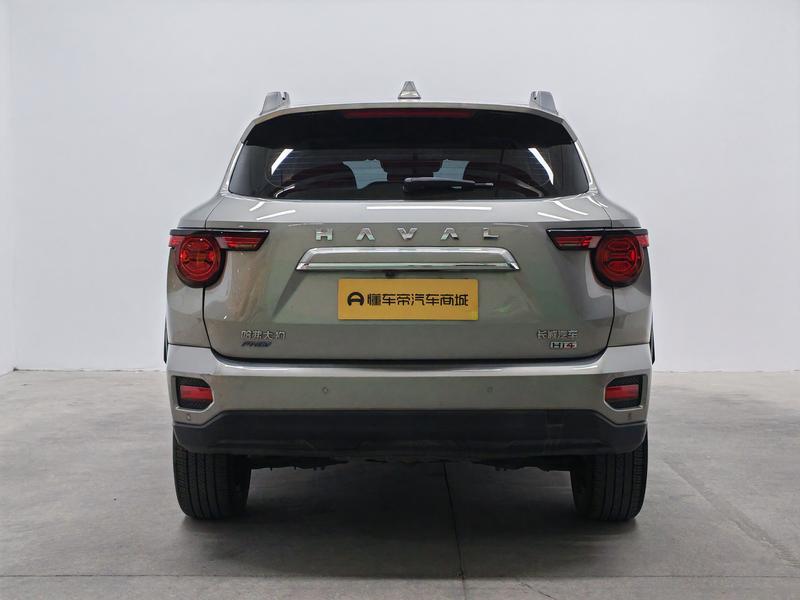 Haval H-Dog Hybrid, 2024 — фото 6 из 12