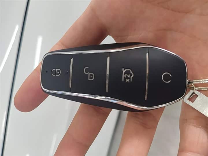 BYD Song Pro Hybrid, 2024 — фото 9 из 9