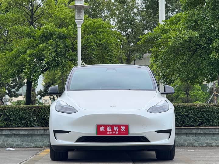 Tesla Model Y, 2023 — фото 2 из 9