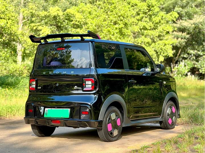 Geely Galaxy Panda Mini, 2024 — фото 6 из 9