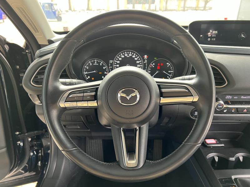 Mazda CX-30, 2021 — фото 9 из 12