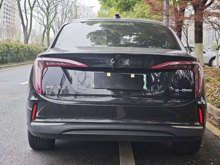 Hongqi E-QM5, 2023 — фото 5 из 9
