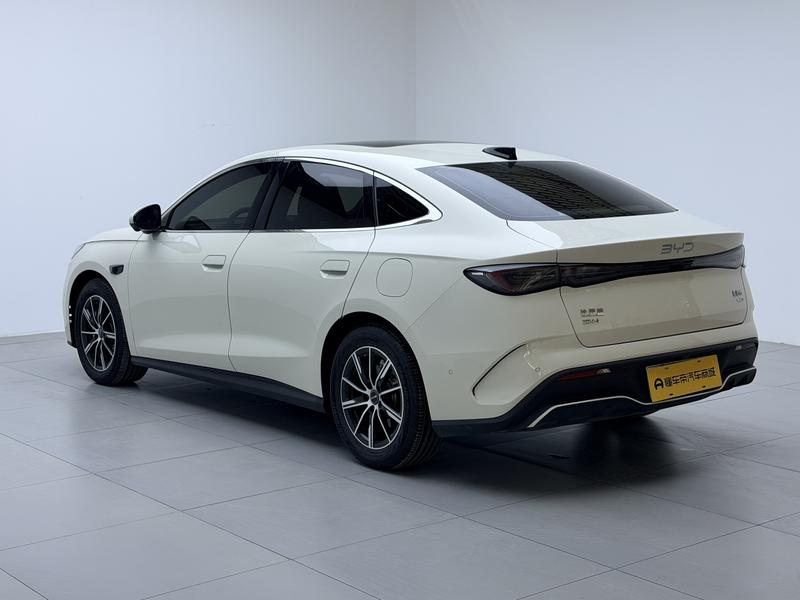 BYD Seal 06 Hybrid/EV, 2024 — фото 5 из 12