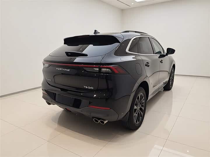 Dongfeng Forthing T5 EVO, 2022 — фото 7 из 9