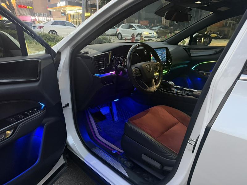 Lexus NX, 2022 — фото 9 из 11
