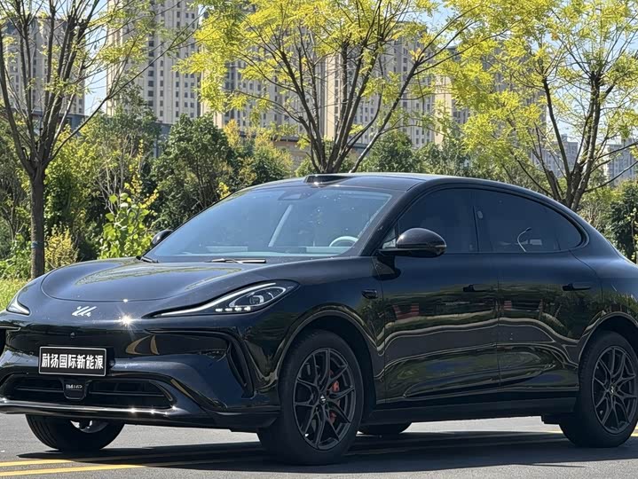 IM motors LS6, 2023 — купить в Санкт-Петербурге под ключ