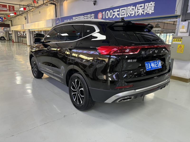 Haval H6, 2023 — фото 4 из 12