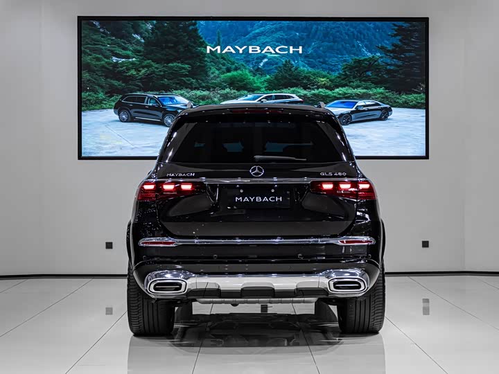 Mercedes-Benz Maybach GLS, 2024 — фото 5 из 9