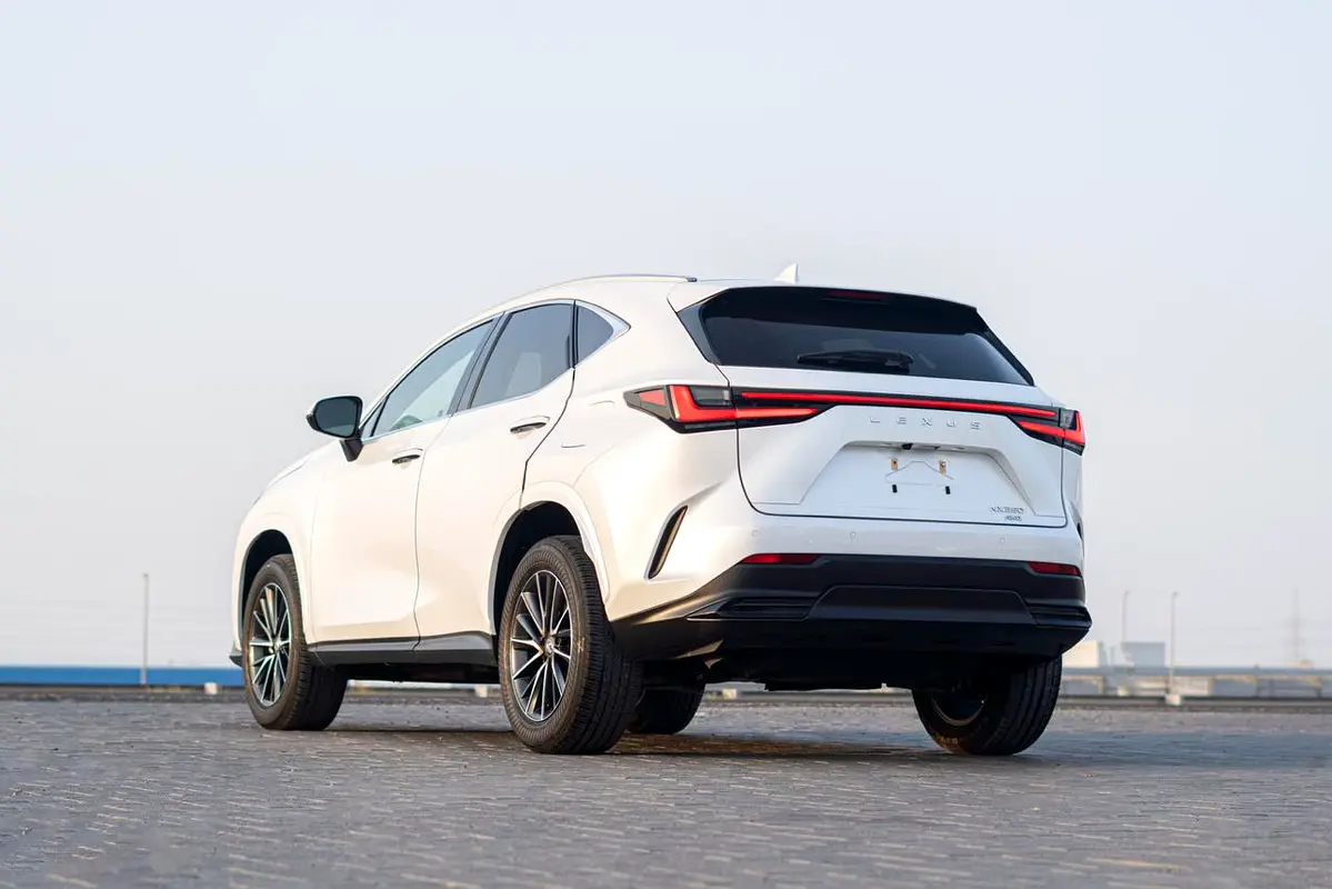 Lexus NX-Series, 2024 — фото 5 из 10
