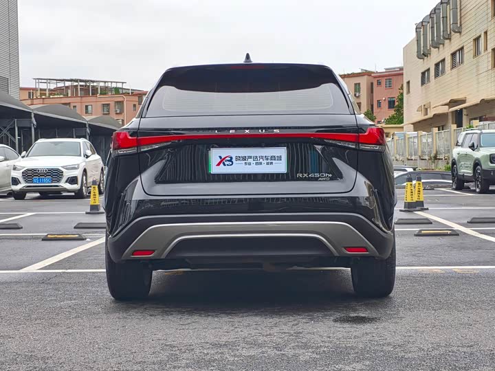 Lexus RX Hybrid, 2023 — фото 5 из 9