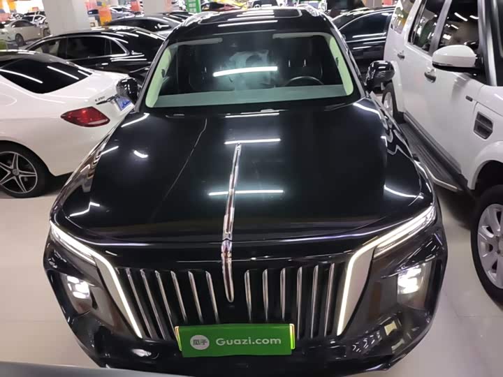 Hongqi E-HS9, 2023 — фото 3 из 9