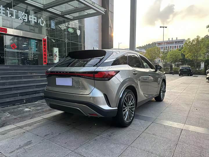 Lexus RX, 2023 — фото 9 из 9
