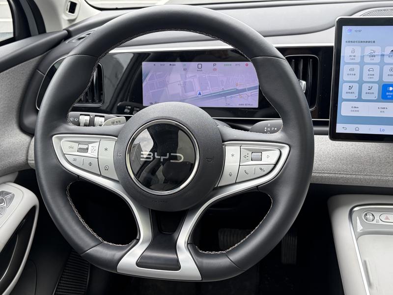 BYD Sea Lion 05 EV, 2025 — фото 10 из 12