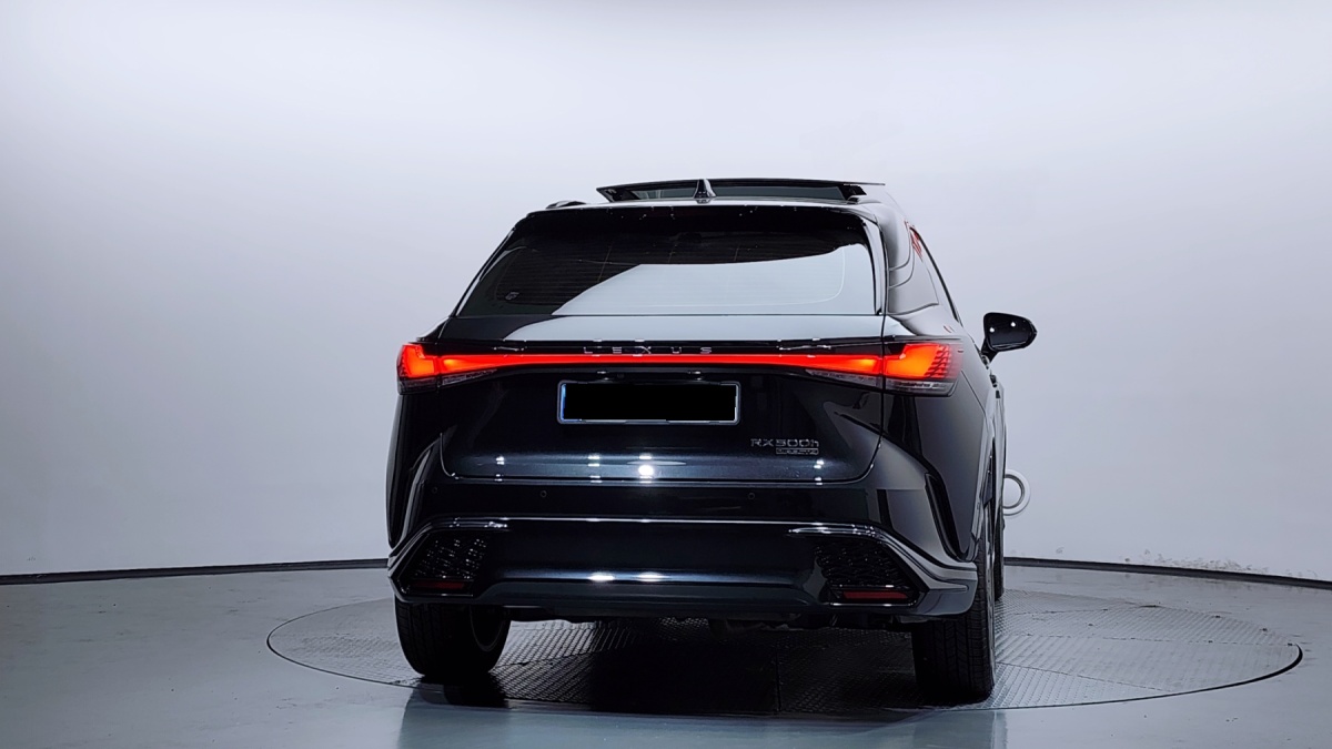 Lexus RX, 2024 — фото 4 из 12