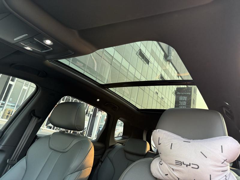 BYD Song Pro Hybrid, 2026 — фото 11 из 12