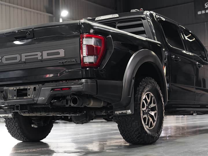 Ford F-150 Raptor, 2023 — фото 9 из 9