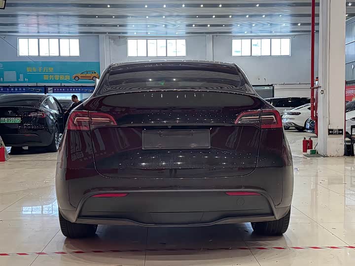 Tesla Model Y, 2024 — фото 5 из 9