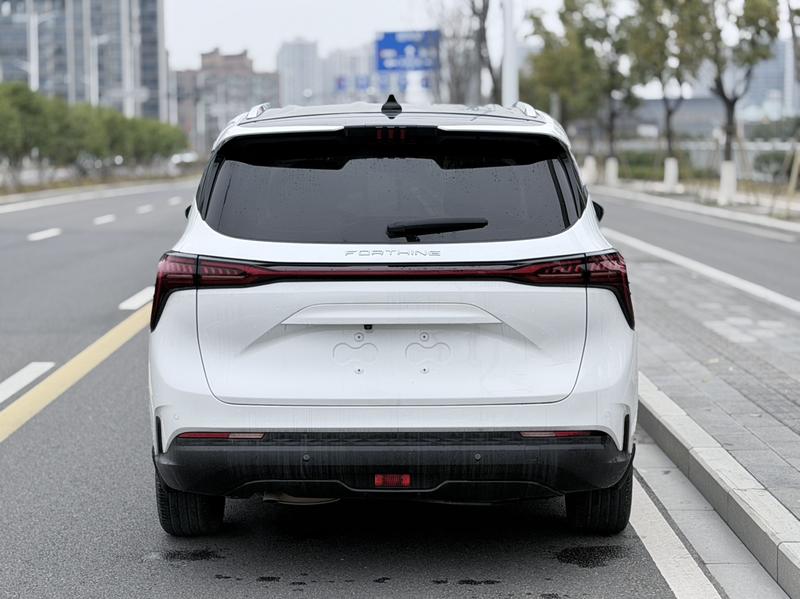 Dongfeng Forthing Yacht, 2023 — фото 6 из 12