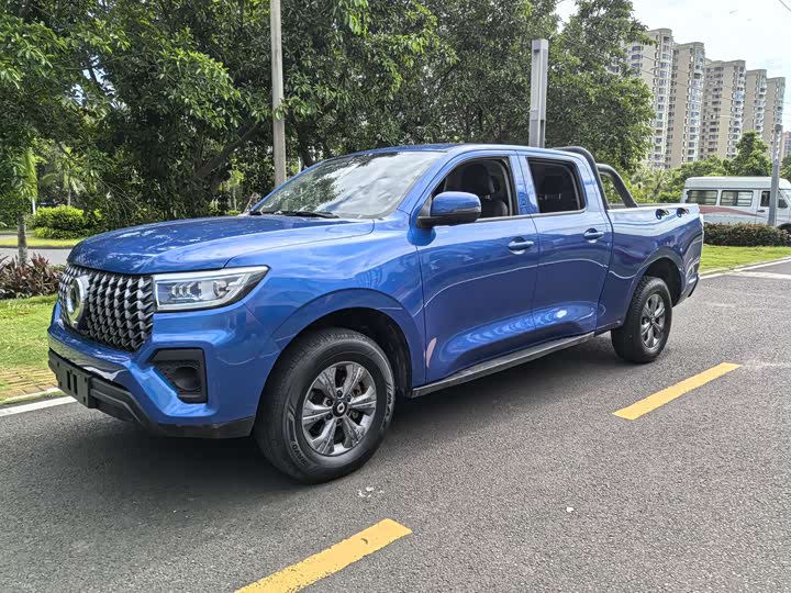 Great Wall Pao, 2023 — купить в Владимире под ключ