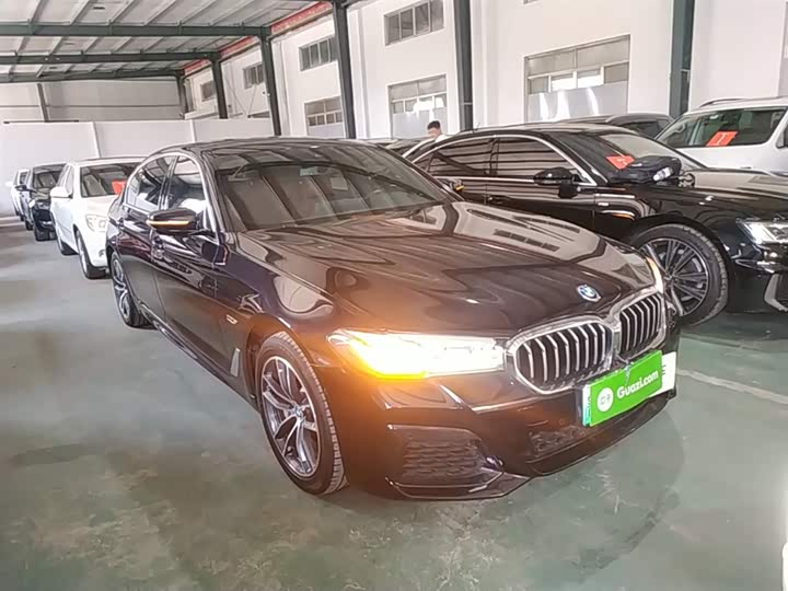 BMW 5 Series Hybrid, 2022 — фото 4 из 9