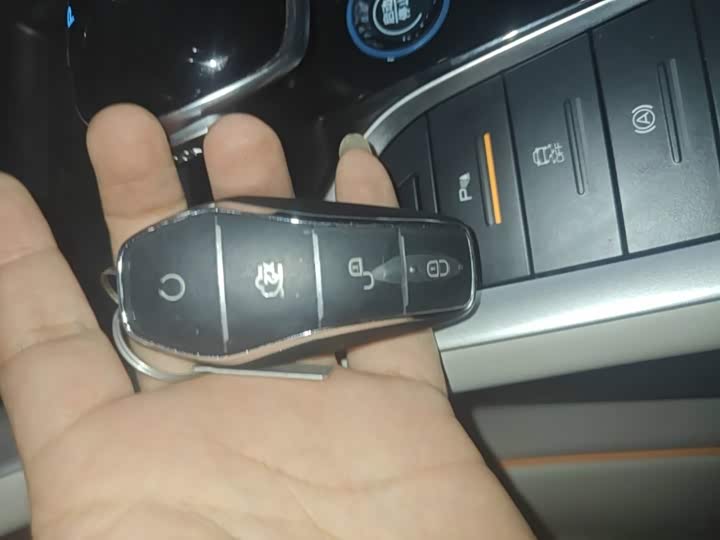 BYD Song Pro Hybrid, 2024 — фото 9 из 9