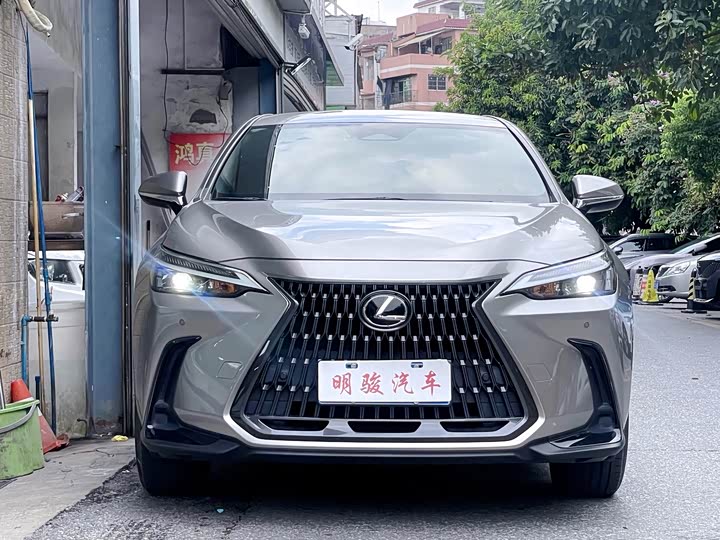 Lexus NX, 2021 — фото 2 из 9