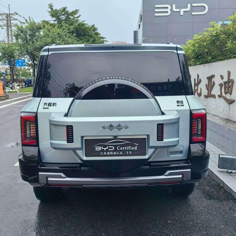 BYD FangChengBao Leopard 8, 2024 — фото 4 из 11