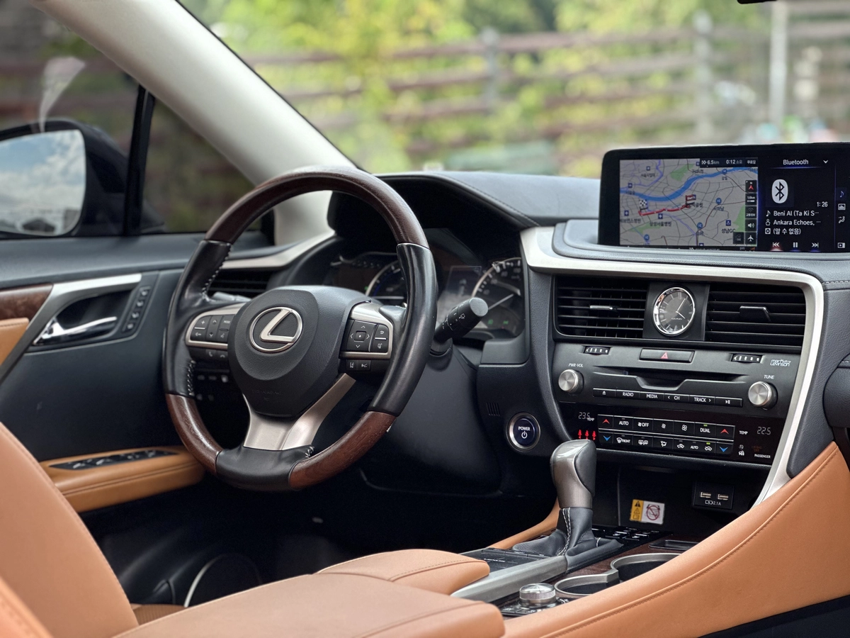 Lexus RX, 2022 — фото 9 из 12