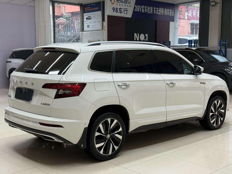 Skoda Karoq, 2023 — фото 6 из 12