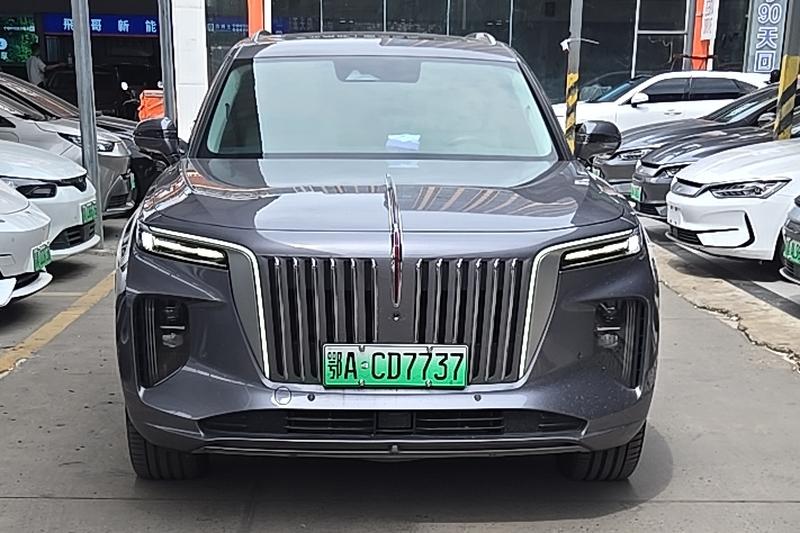 Hongqi E-HS9, 2021 — фото 2 из 9