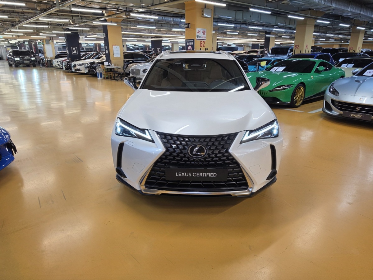 Lexus UX, 2025 — фото 3 из 12