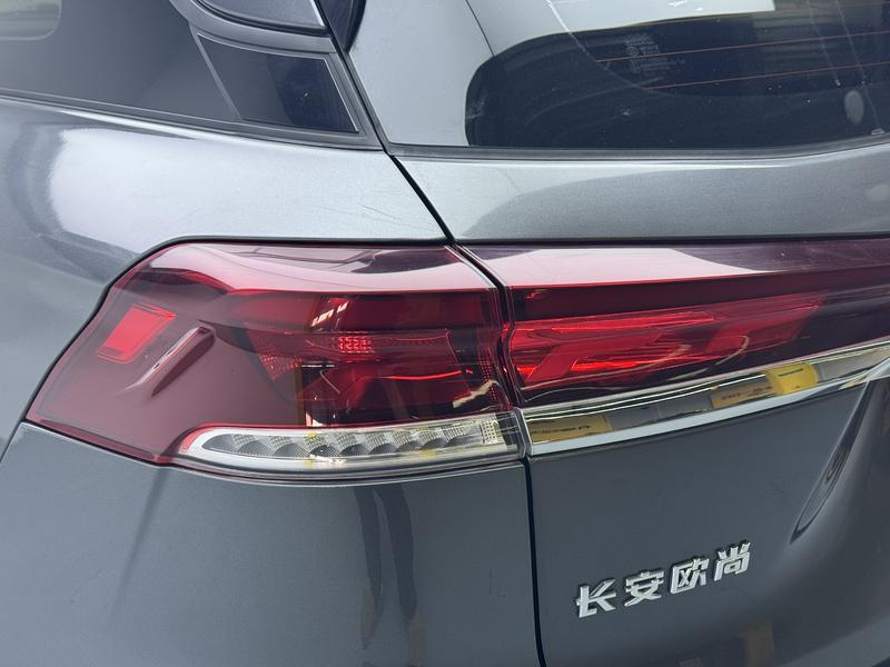 Changan Oshan X7 Plus, 2023 — фото 10 из 12