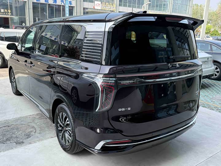 Hongqi HQ9 Hybrid, 2023 — фото 6 из 9