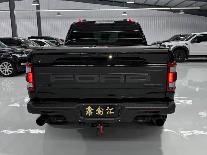 Ford F-150 Raptor, 2022 — фото 8 из 9