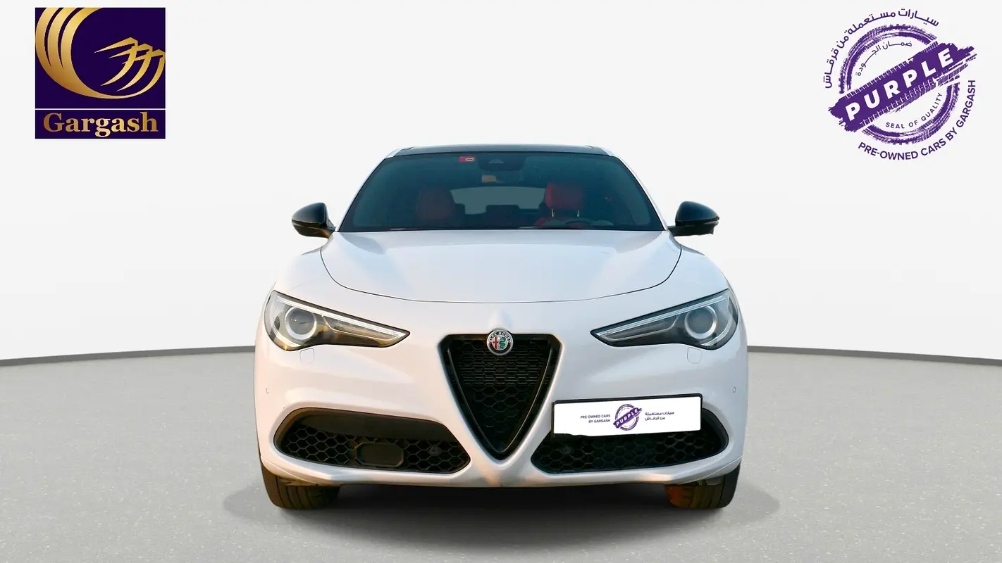 Alfa Romeo Stelvio, 2023 — фото 2 из 10