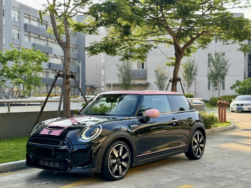 Mini Mini, 2022 — купить в Кирове под ключ