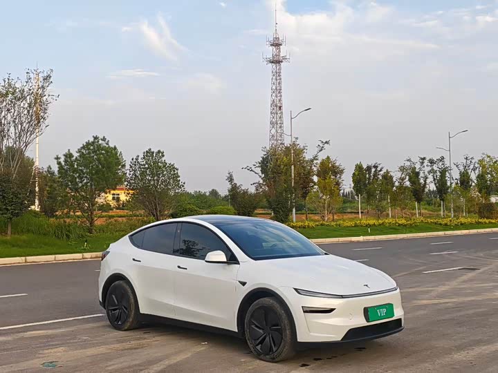 Tesla Model Y, 2026 — фото 3 из 9