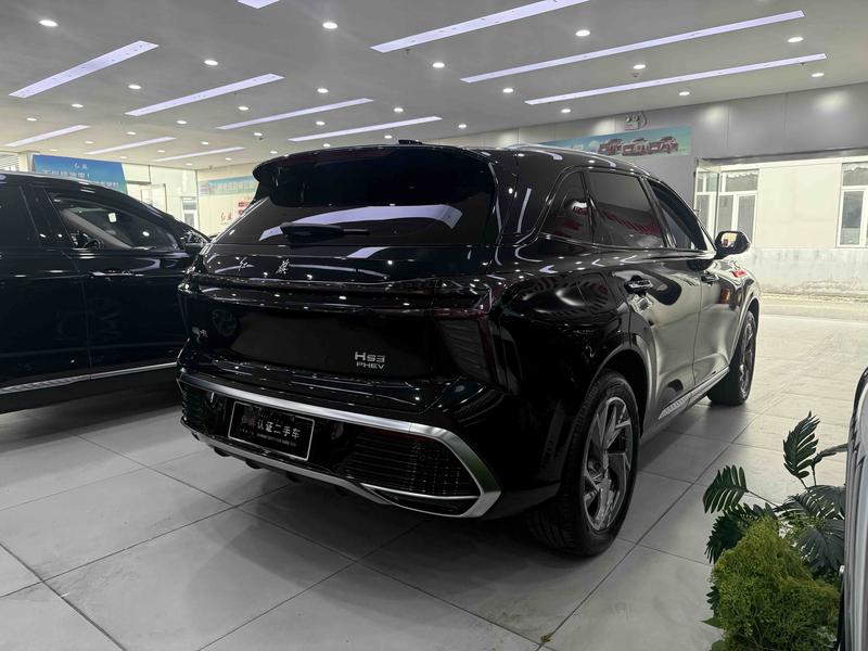 Hongqi HS3 Hybrid, 2024 — фото 6 из 12