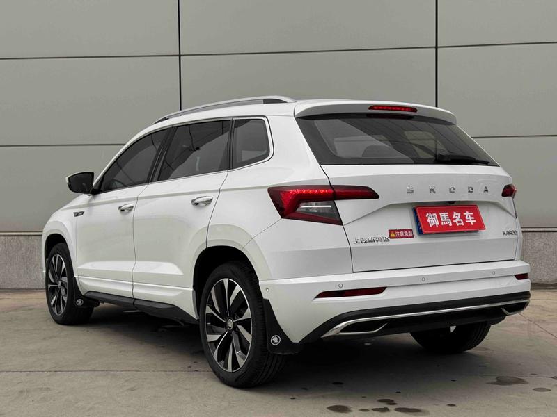Skoda Karoq, 2024 — фото 4 из 11
