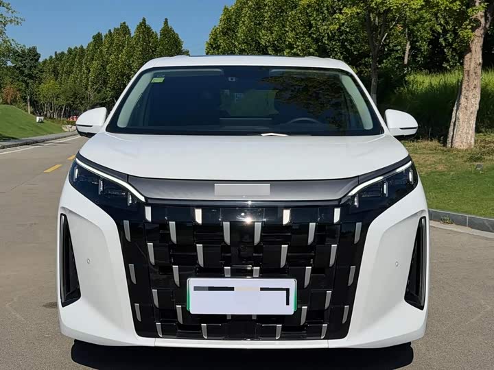 BYD M9, 2025 — фото 2 из 9