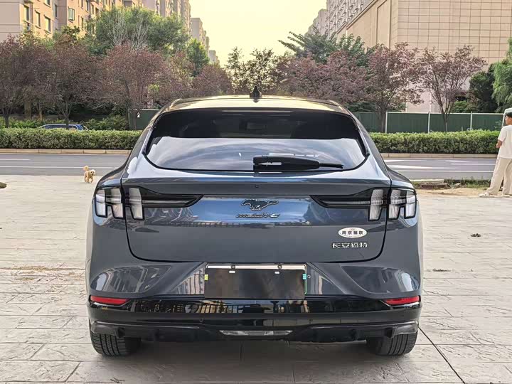 Ford Mustang Mach-E, 2022 — фото 8 из 9