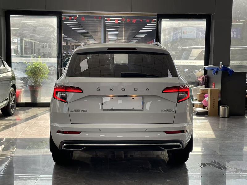 Skoda Karoq, 2021 — фото 5 из 12