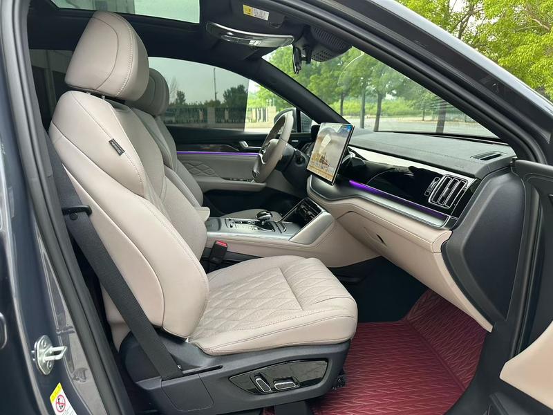 BYD Tang Hybrid/EV, 2024 — фото 8 из 10