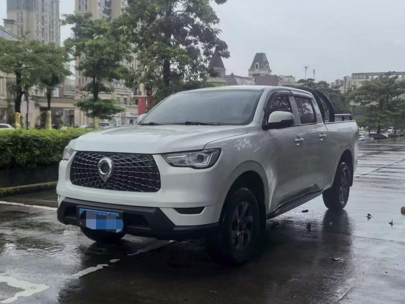 Great Wall Pao, 2021 — купить в Перми под ключ