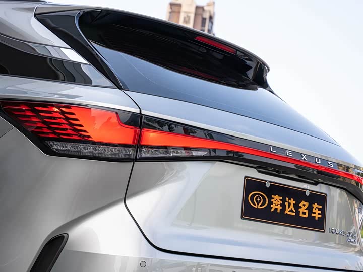 Lexus RX Hybrid, 2023 — фото 7 из 9