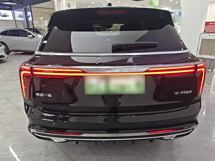 Hongqi E-HS9, 2023 — фото 6 из 9