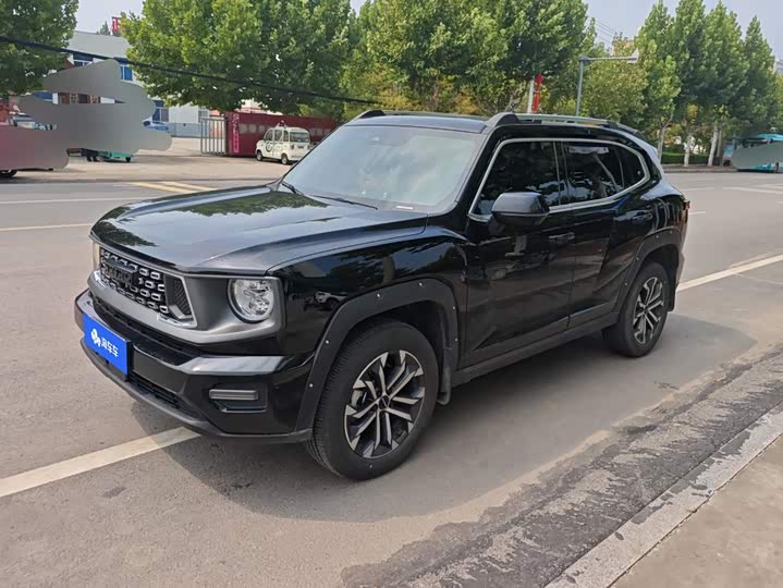 Haval H-Dog, 2024 — купить в Тамбове под ключ