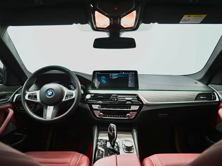 BMW 5 Series Hybrid, 2022 — фото 9 из 9